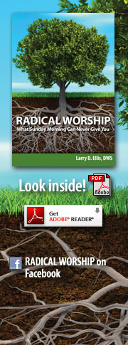 Radical Worship cover